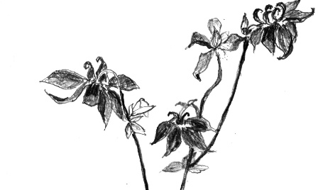 Herbst voller Bilder: Helmut Wartner zeigt „Jeden Tag eine Postkarte“ im Schloss Wolfstein