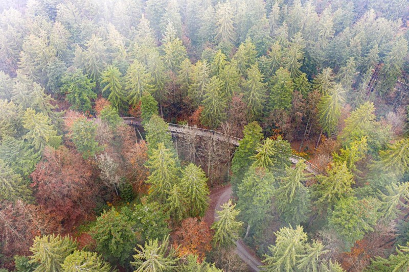 Flyer/Grafik zum Event: Sagenhafte Führung am Baumwipfelpfad am So., 28.12.2025 - Fr., 02.01.2026