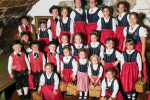 Heimat-Verein: Wolfstoana Buam